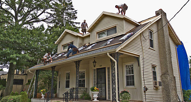 Trusted Malmstrom Af, MT Roofing Contractor Experts